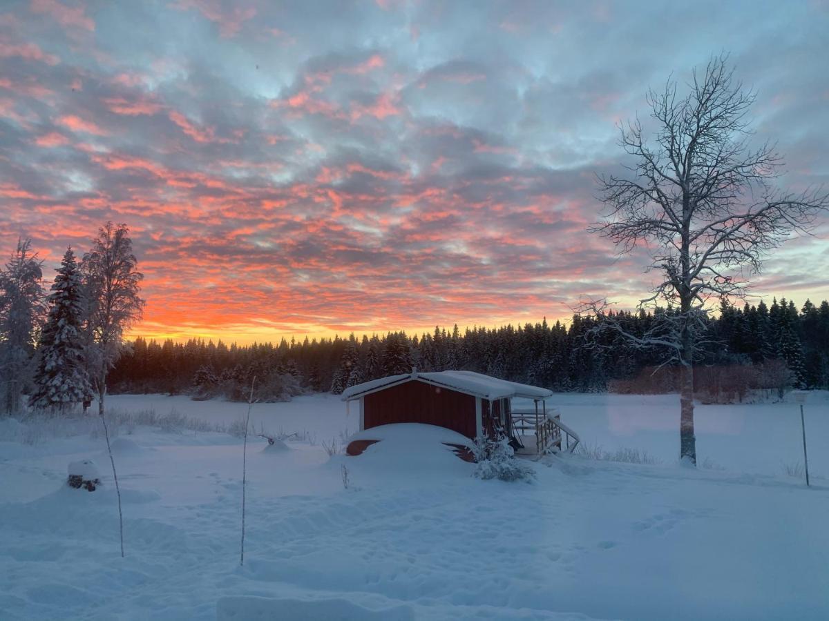 Luxus Tiny House Saagala Villa Tornio Dış mekan fotoğraf